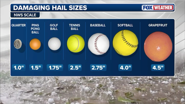 From peas to grapefruits—what determines hail size?