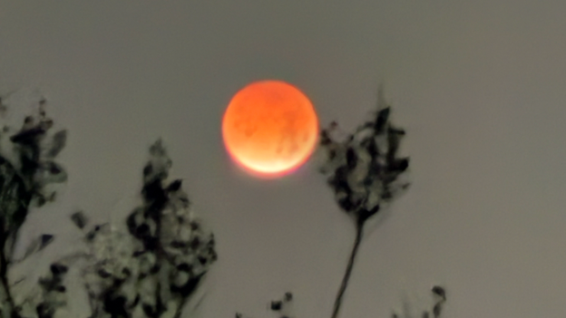 Sweet Home Totality: Alabama skywatchers dodge overcast skies for a peak at the Red Moon