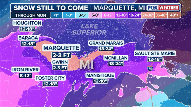 FOX Weather Ground Truth: Robert Ray reports from the heart of the Midwest blizzard