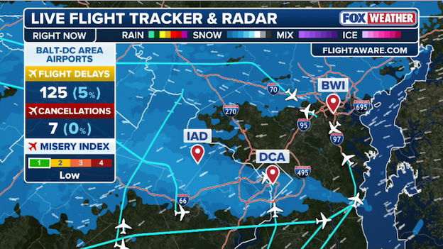 Travelers at DCA face delays as snow, ice move into the capital
