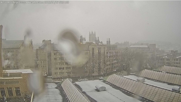 Snow at Fenway? April flakes fly in Boston ahead of Red Sox-Brewers clash