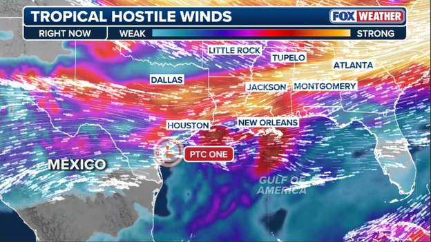 Analyze: Why the window is rapidly closing for Potential Tropical Cyclone One to organize