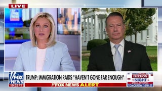 Acting ICE director: We're going to identify as many illegal aliens as we can