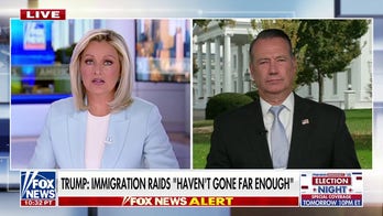  Acting ICE director: We're going to identify as many illegal aliens as we can