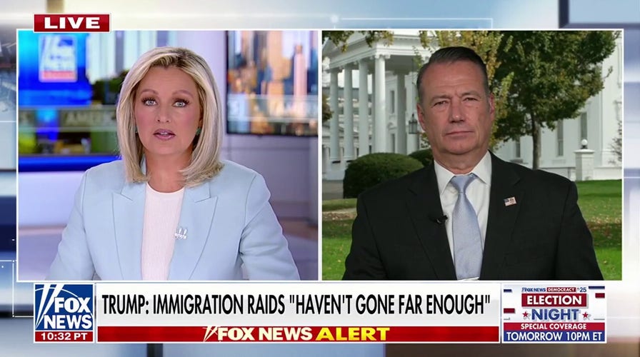  Acting ICE director: We're going to identify as many illegal aliens as we can