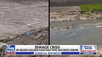 San Diego suburb faces 'sewage crisis' from local beach 