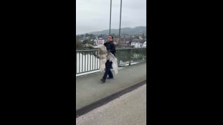 Officer rescues hissing swan from busy bridge after it blocks traffic