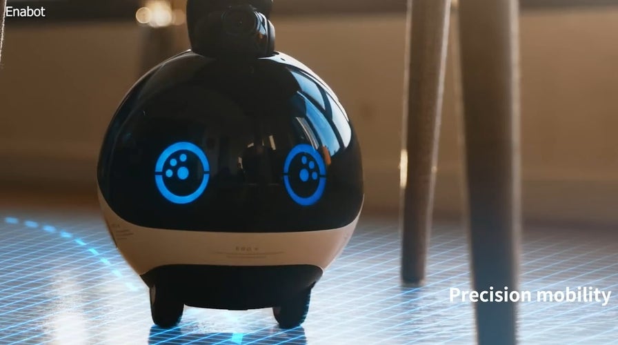 'CyberGuy': How this robot helps you protect, connect your home