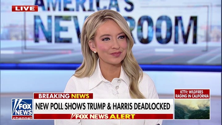 Kayleigh McEnany: Kamala Harris must separate herself from Joe Biden