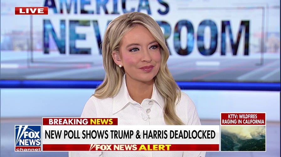 Kayleigh McEnany: Kamala Harris must separate herself from Joe Biden