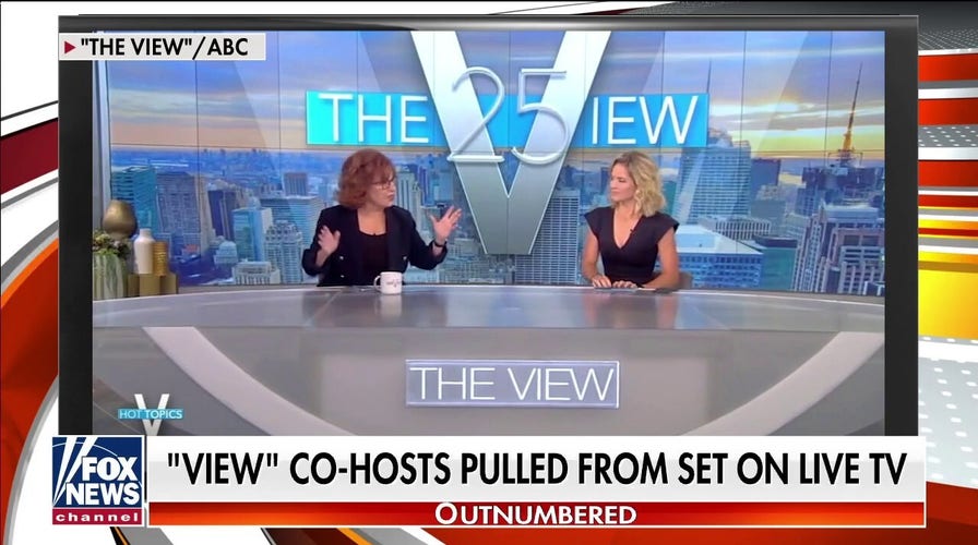 'View' hosts pulled from set due to positive COVID tests before VP Harris interview