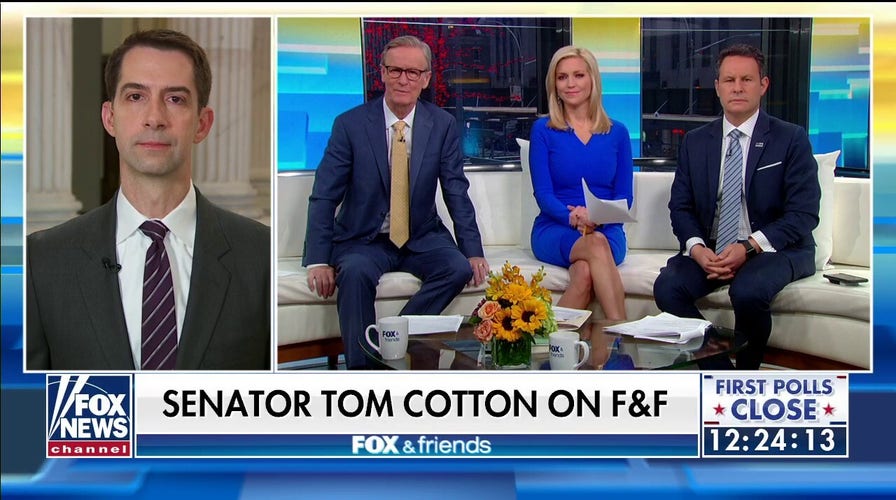Tom Cotton: We'll forgive Schumer's appalling remarks if he joins us in opposing late-term abortion