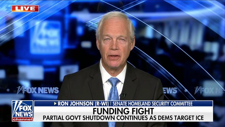 ICE is trying to ‘clean up the mess’ Democrats created at the border: GOP lawmaker