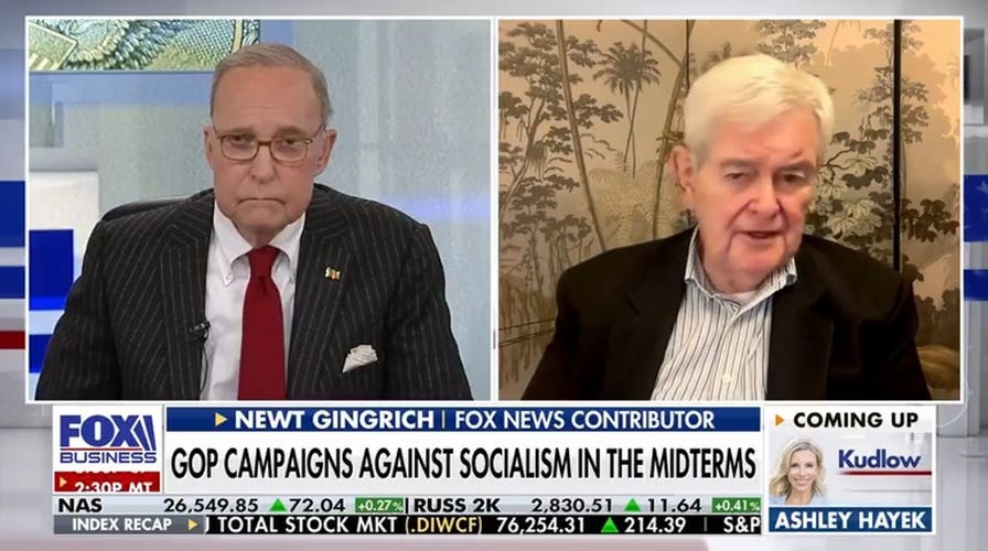 Newt Gingrich- If El-Sayed wins, he could be ‘the most radical’ elected official in the US 