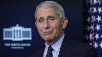 'The Five' on Dr. Fauci, cyberattack concerns
