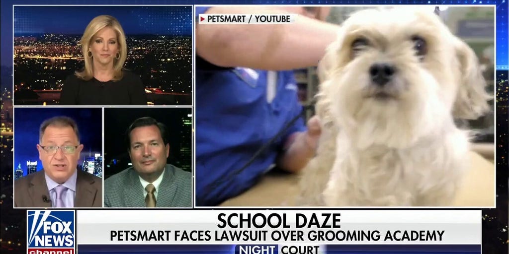 petsmart-faces-lawsuit-over-grooming-academy-fox-news-video