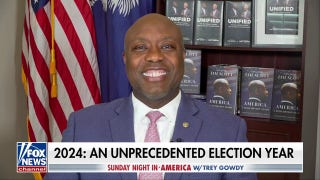What we need in a vice president is exactly what Kamala Harris is not: Sen. Tim Scott - Fox News
