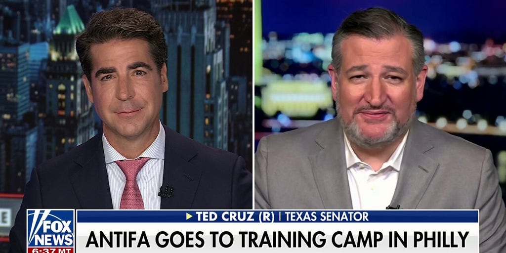 Ted Cruz: Antifa doesn't rise up organically, it is paid for