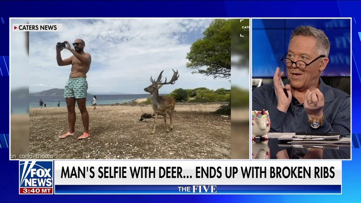 ‘The Five’: Man’s deer selfie ends with more than a picture
