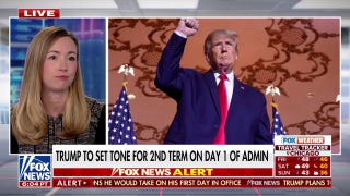 Political expert says Trump’s tariff plan is a ‘negotiation tactic’ - Fox News