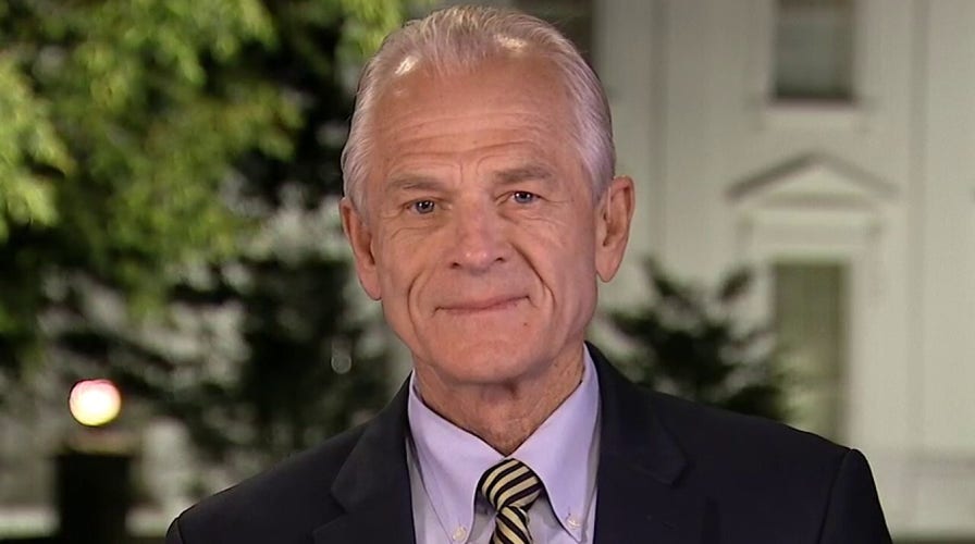 Peter Navarro reacts to Obama ripping 'folks in charge' of COVID-19 response 