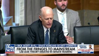 COVID-19 lab leak theory debated during Senate hearing - Fox News