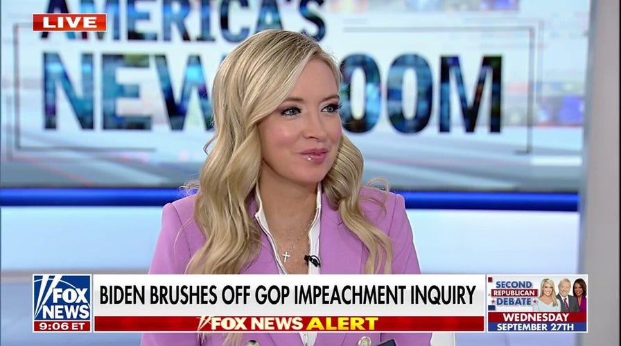 Kayleigh McEnany: Democrat elites are out of touch with voters