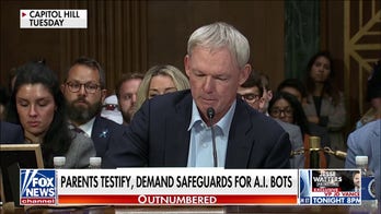 AI bots under scrutiny for allegedly assisting in teen’s suicide