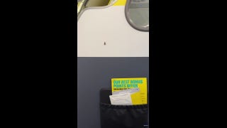 Passenger spots 'roaches' crawling inside plane cabin on flight in Florida
