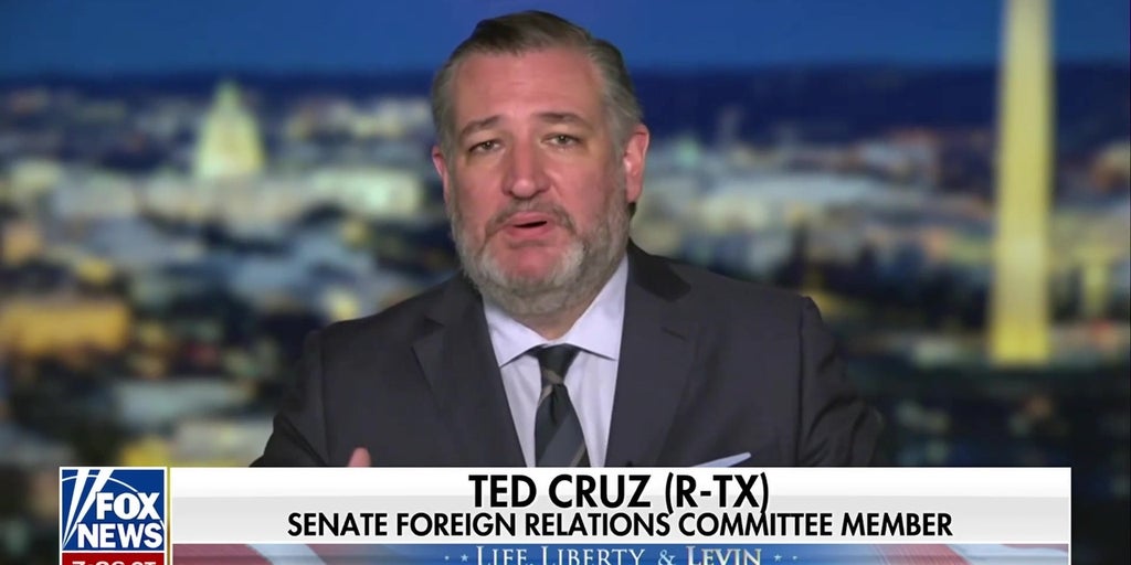 Sen Ted Cruz: The Democratic Party is defined by hatred for Trump