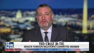 Sen Ted Cruz: The Democratic Party is defined by hatred for Trump