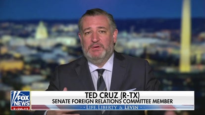 Sen Ted Cruz: The Democratic Party is defined by hatred for Trump