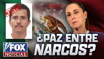 ¿Paz entre narcos?
