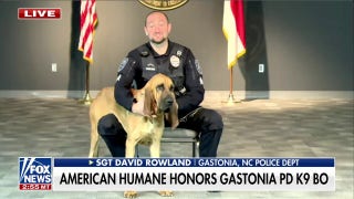 North Carolina K9 wins American Humane Hero Award - Fox News