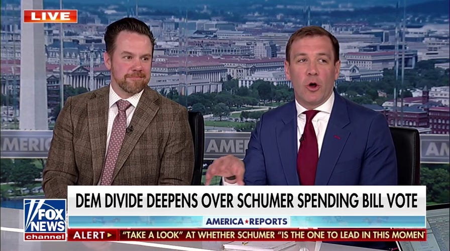 This is what Dems 'haven't been able to wrap their heads around,' one strategist argues