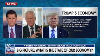 'Trumpnomics' will be 'that much better' than Reagan's miracle, declares senior trade counselor - Fox News