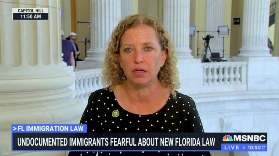 Democratic lawmaker claims that Florida won't have vegetable pickers once DeSantis’ anti-illegal immigrant law in effect