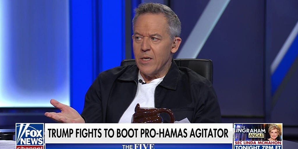 Dems rally around Columbia University anti-Israel activist after judge rules on deportation