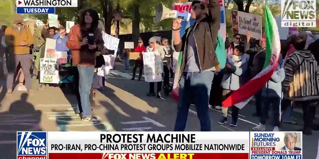 Pro-Iran, pro-China professional protest groups launch 'rapid response mass mobilizations'