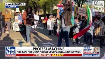 Pro-Iran, pro-China professional protest groups launch 'rapid response mass mobilizations'