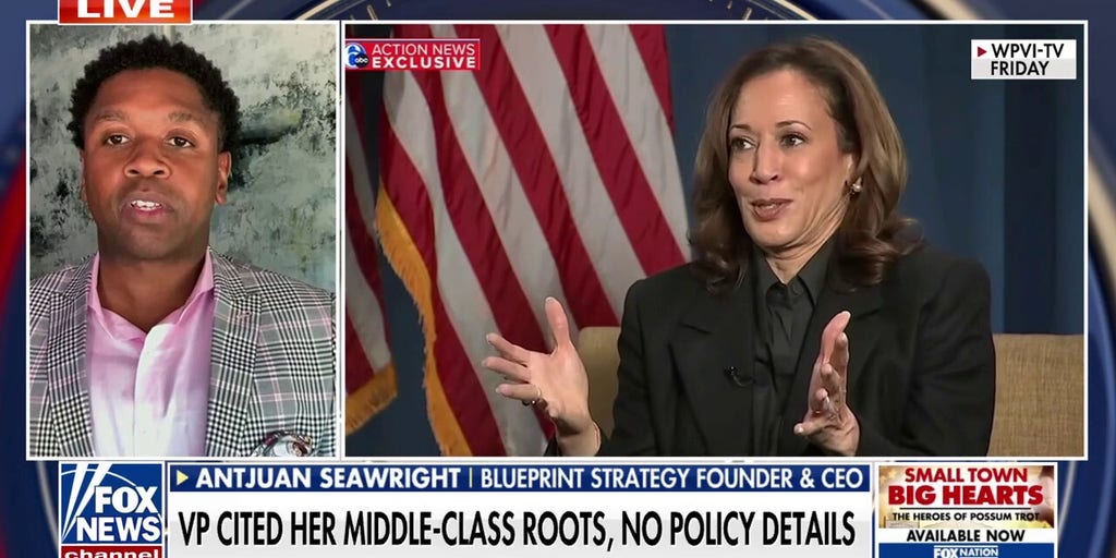 Democratic strategist defends Harris interview: 'Important to be relatable, talk about life experiences'