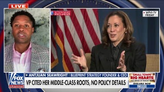 Democratic strategist defends Harris interview: 'Important to be relatable, talk about life experiences' - Fox News