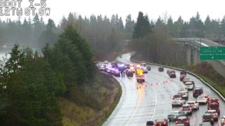 Police stop Washington state carjacking suspect