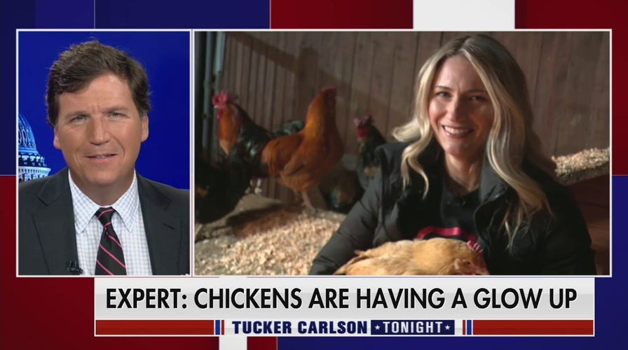 This is great for small egg farmers: Tiara Soleim