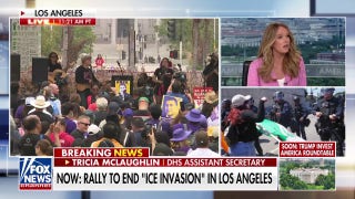 Dems are giving violent rioters 'a free pass' to 'do the worst of the worst,' warns Homeland Security spox