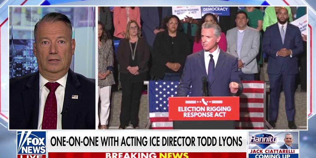 Politicians are ‘pitting cops against cops,’ laments ICE leader