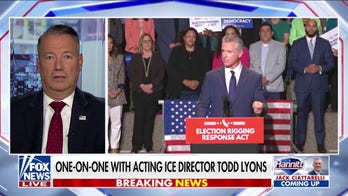 Politicians are ‘pitting cops against cops,’ laments ICE leader