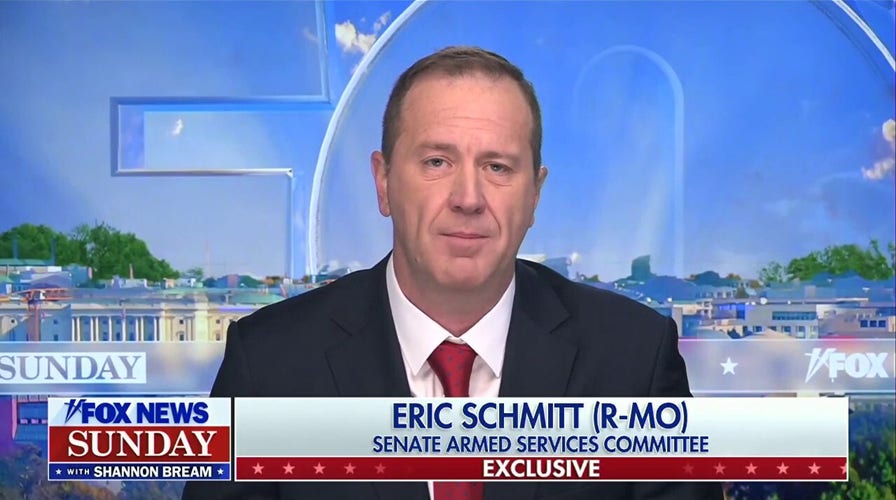 Idea of deporting people who are illegally here is 'not a new concept,' GOP senator points out