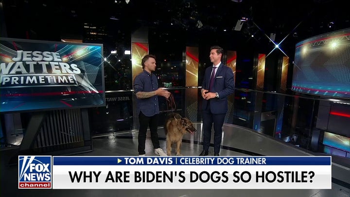 Biden’s dog bit seven Secret Service agents