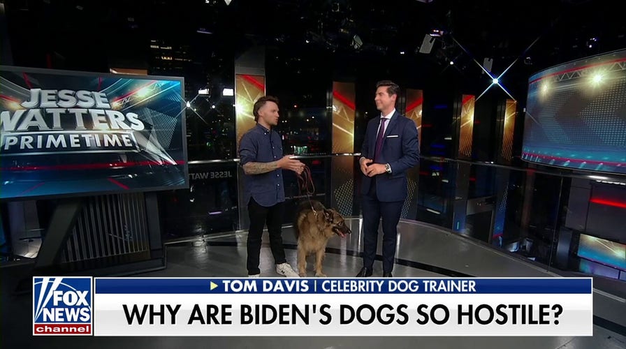 Biden’s dog bit seven Secret Service agents